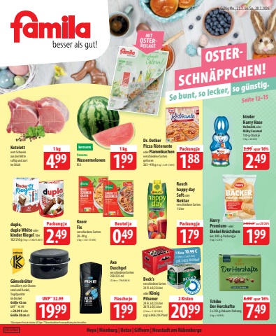 Handzettel famila_kw13_Nie5