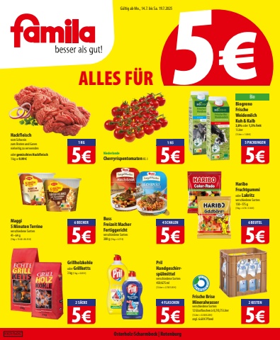 Handzettel famila_kw29_RoOHZ