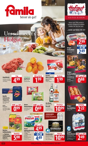 Handzettel famila_kw33_Ost