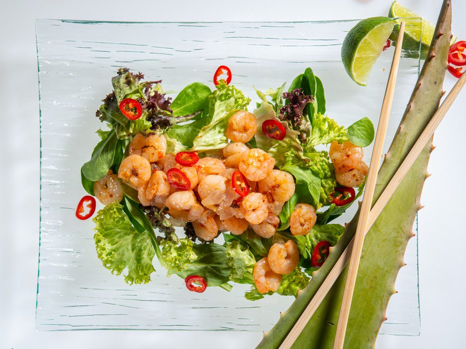 Blattsalate mit Shrimps und Aloe Vera