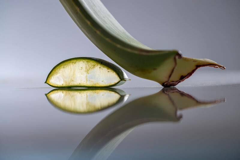 Aloe Vera Blatt neben Anschnitt eines Aloe Vera Blattes