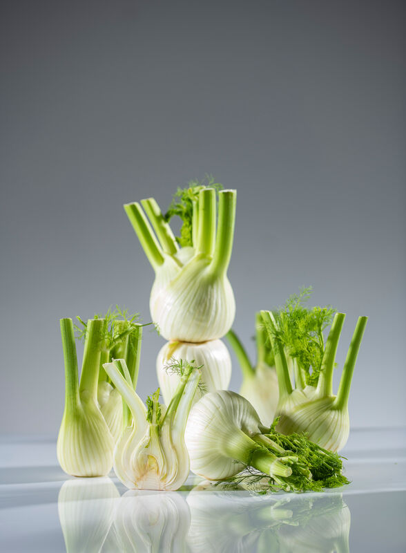 Fenchel liegend und halbierter Fenchel vor mehreren Fenchelknollen