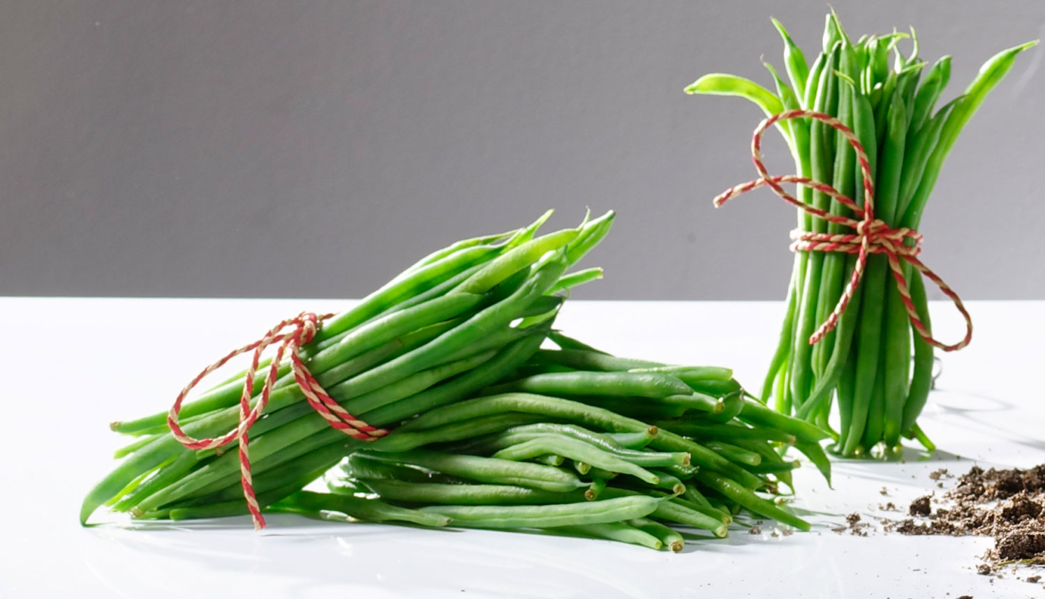 Grüne Bohne – Wissenswertes und Rezepte | famila Nordost