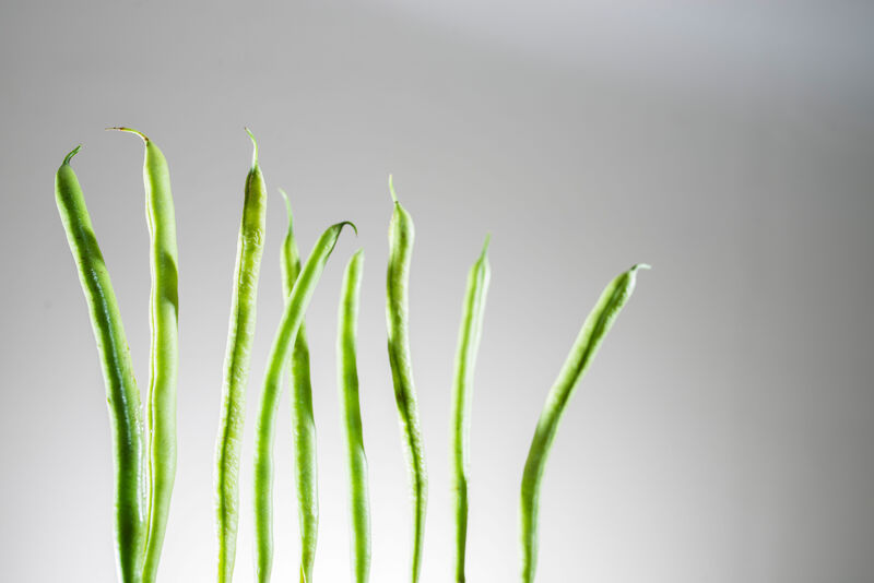 Grüne Bohne – Wissenswertes und Rezepte | famila Nordost