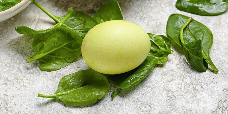 mit Spinat oder Petersilie grün gefärbtes Ei