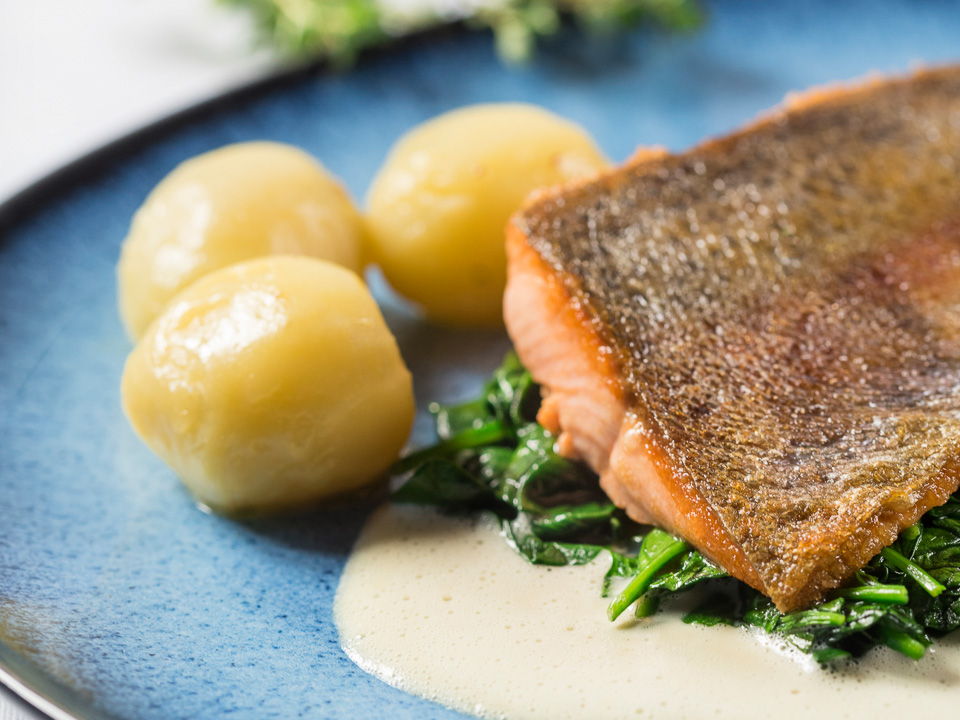 Lachsforellenfilet mit Zitronenthymiansauce Bild zum Rezept: Lachsforellenfilet mit Zitronenthymiansauce