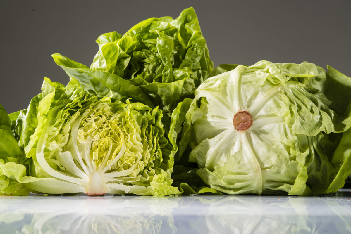 Kopfsalat Angeschnittener, halbierter Kopfsalat-Kopf vor ganzen Kopfsalaten.