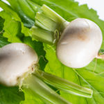 Mairübchen mit Blattgrün.