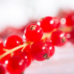 Rote Johannisbeere