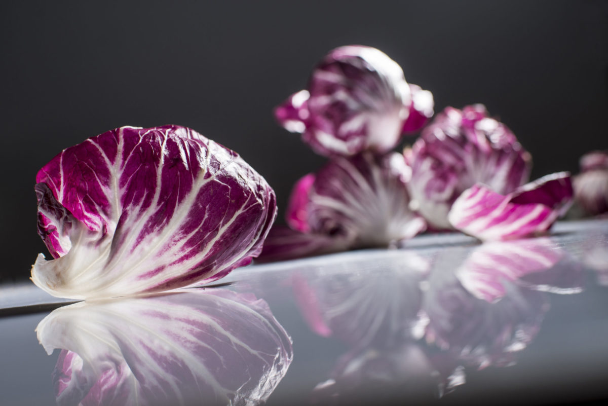 Radicchio Radicchioblätter und Radicchio liegend.