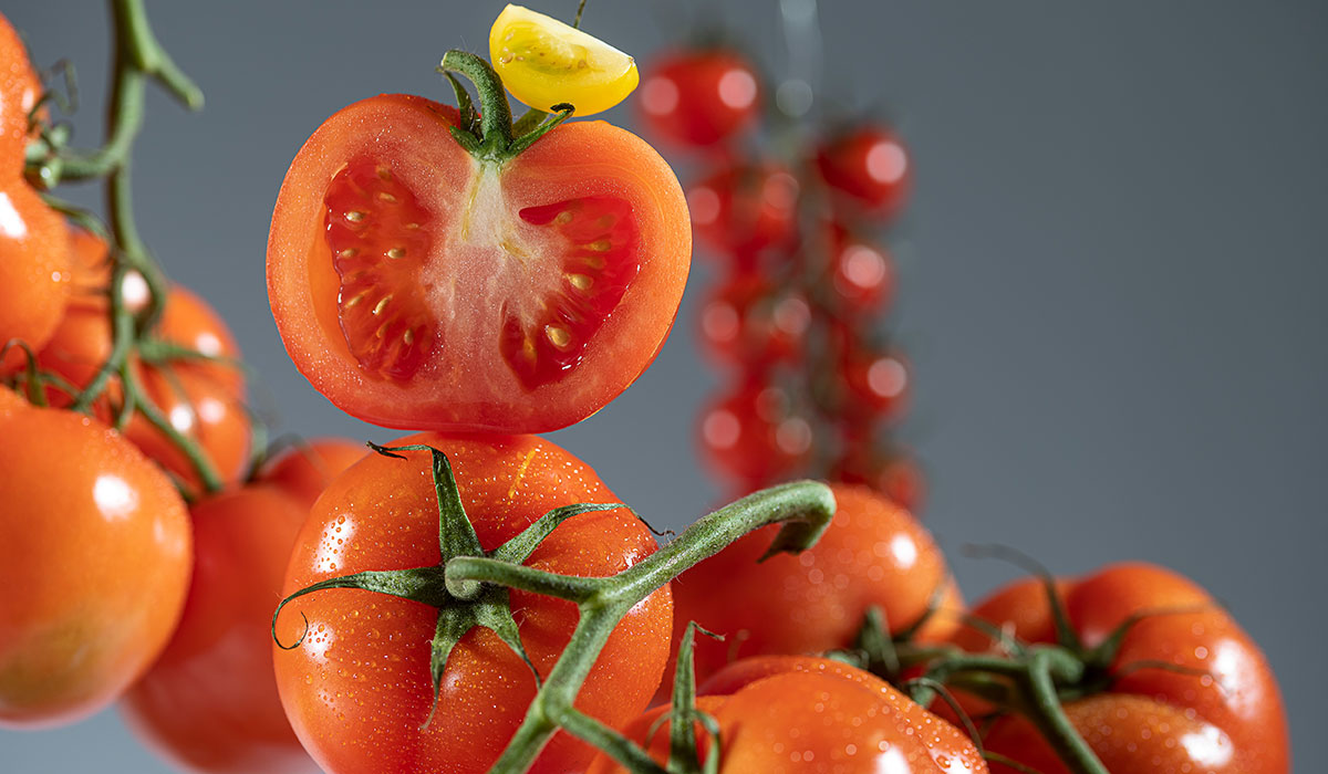 Tomate Tomate