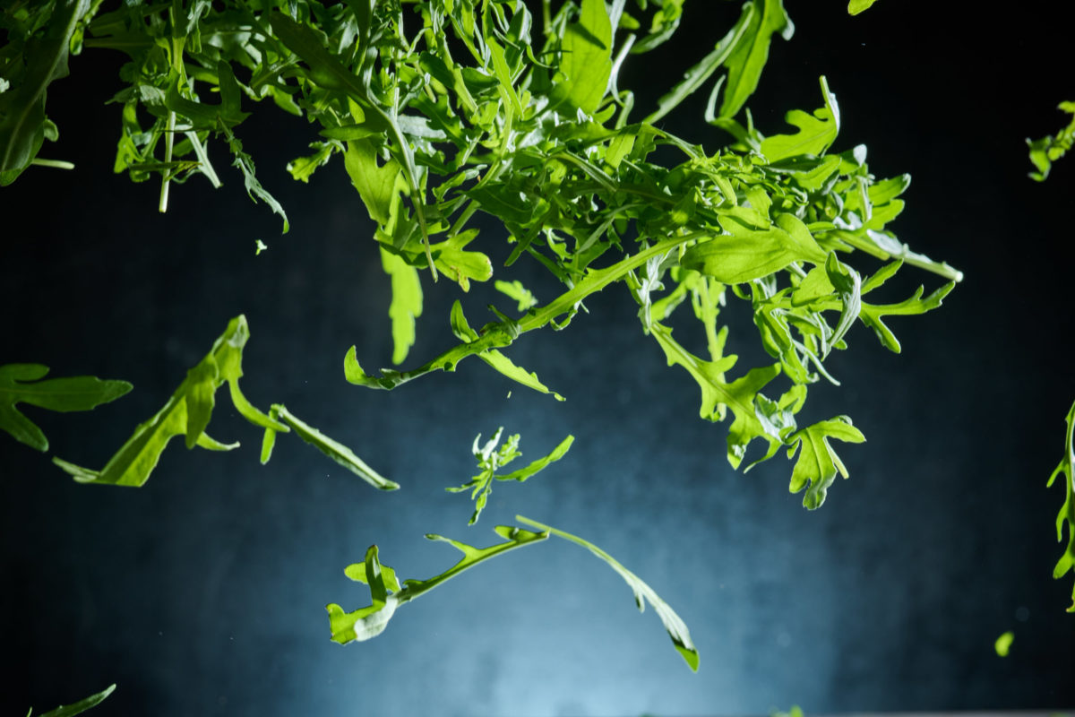 Rucola, der von oben ins Bild fällt.