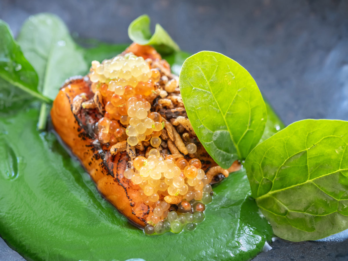 Bild zum Rezept: Geflämmte Eismeerforelle mit Kokos-Spinat