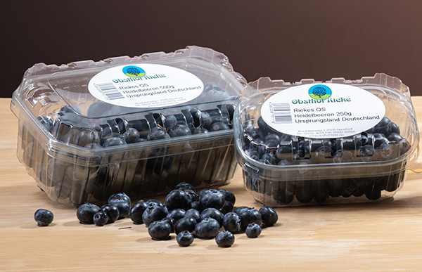 Heidelbeeren der Familie Rieke